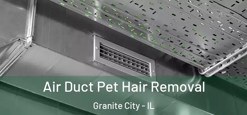 Air Duct Pet Hair Removal Granite City - IL