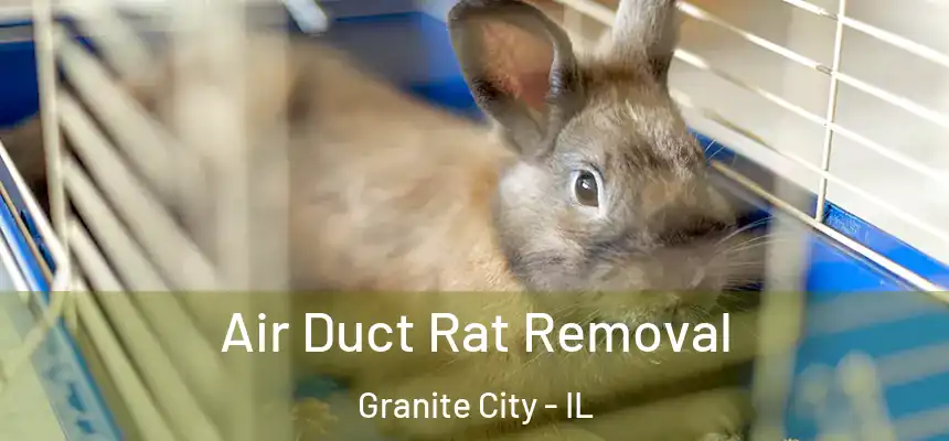  Air Duct Rat Removal Granite City - IL