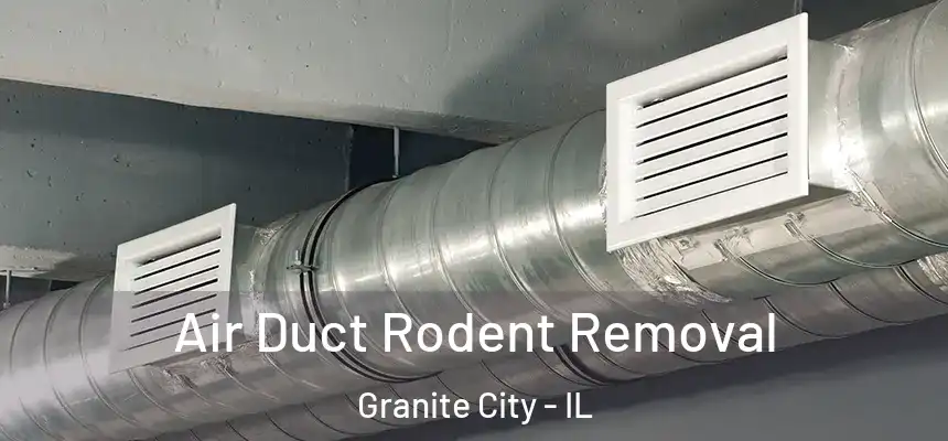  Air Duct Rodent Removal Granite City - IL