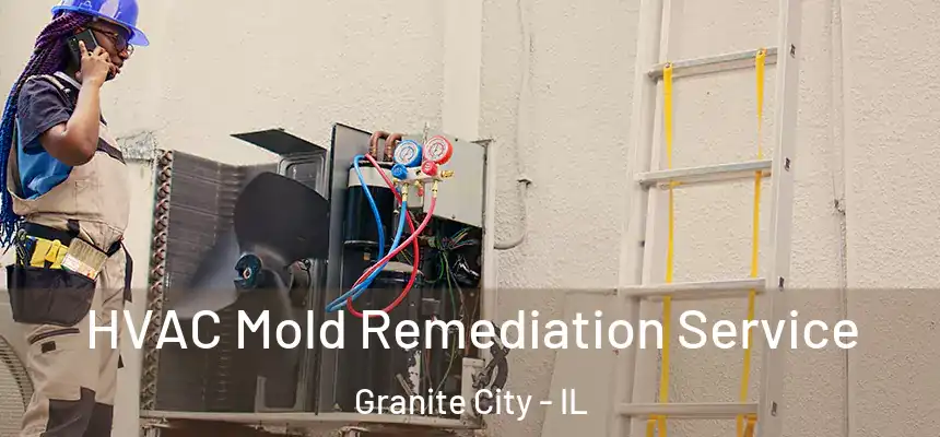  HVAC Mold Remediation Service Granite City - IL