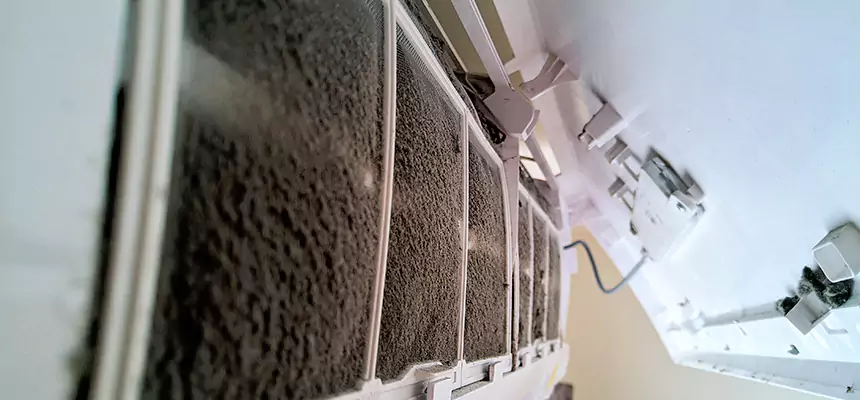 Preventive Air Duct Bacteria Removal in Granite City