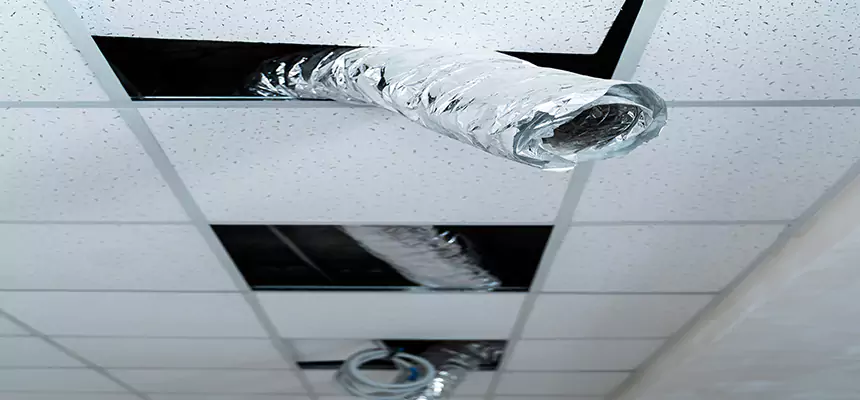 Our Air Duct Pet Hair Removal Services in Granite City, IL