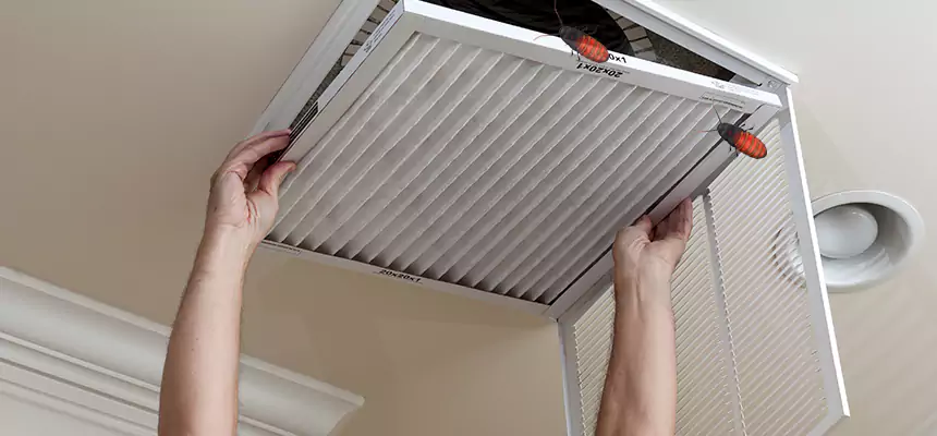 Our Insect Removal from Air Ducts Services in Granite City, IL