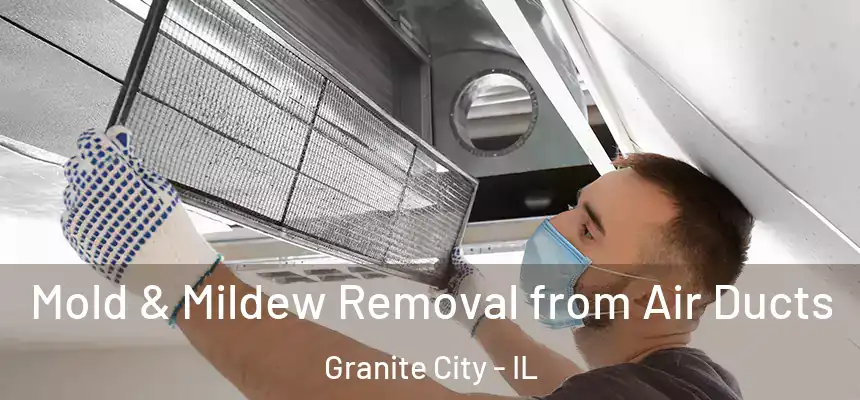  Mold & Mildew Removal from Air Ducts Granite City - IL