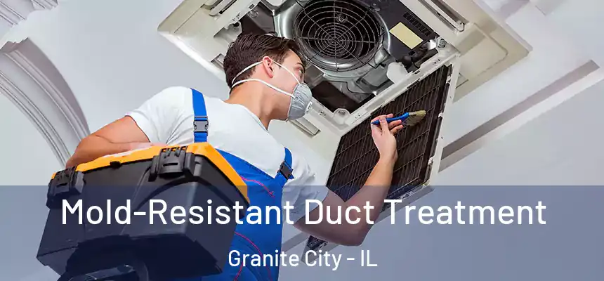  Mold-Resistant Duct Treatment Granite City - IL
