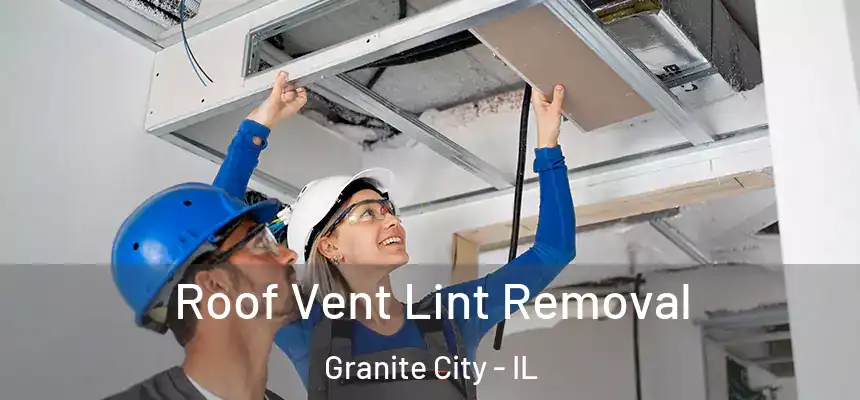  Roof Vent Lint Removal Granite City - IL