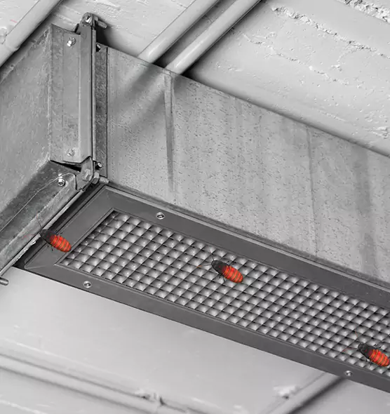 About Air Duct Cockroach Removal in Granite City, IL