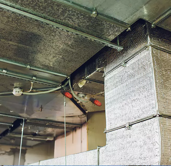 Why Homeowners & Businesses Trust Us in Granite City, IL?