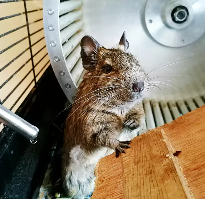 Why Homeowners & Businesses Trust Us Granite City, IL